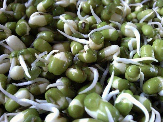 Indian healthy snack ideas - sprouts