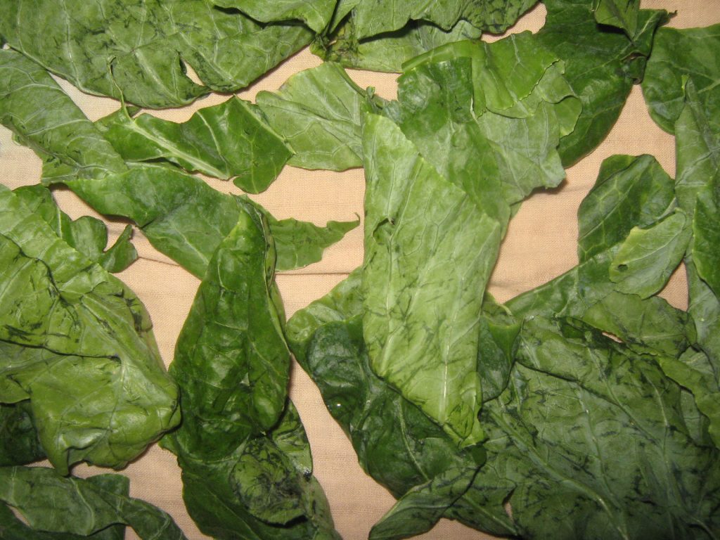 Cauliflower leaves recipe for preventing and curing anemia - washed leaves
