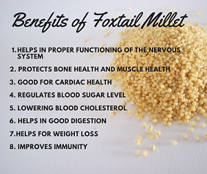 Health benefits of foxtail millet - immunity booster