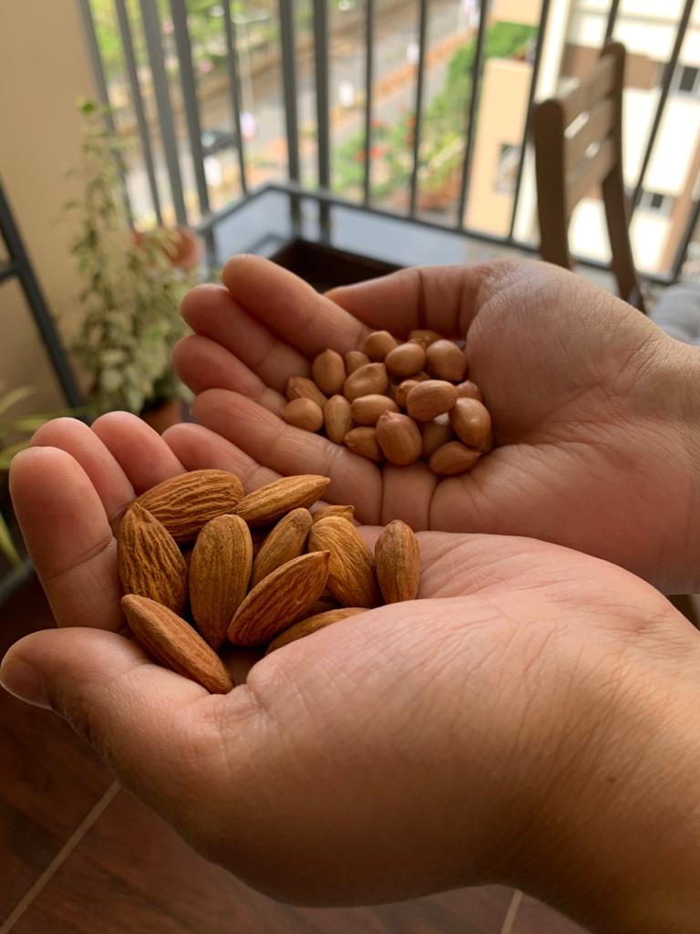Peanut vs almond - a handful of any one of this is enough for a day