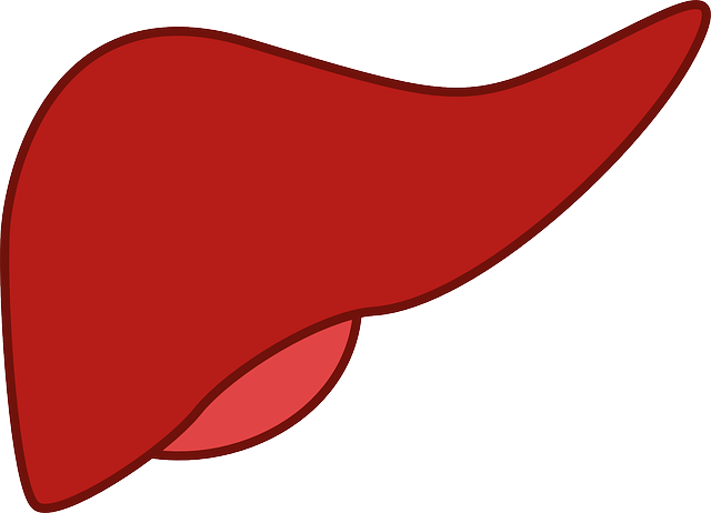 fatty liver diet - diet for NAFLD