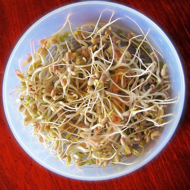 bean-sprouts-657415_640