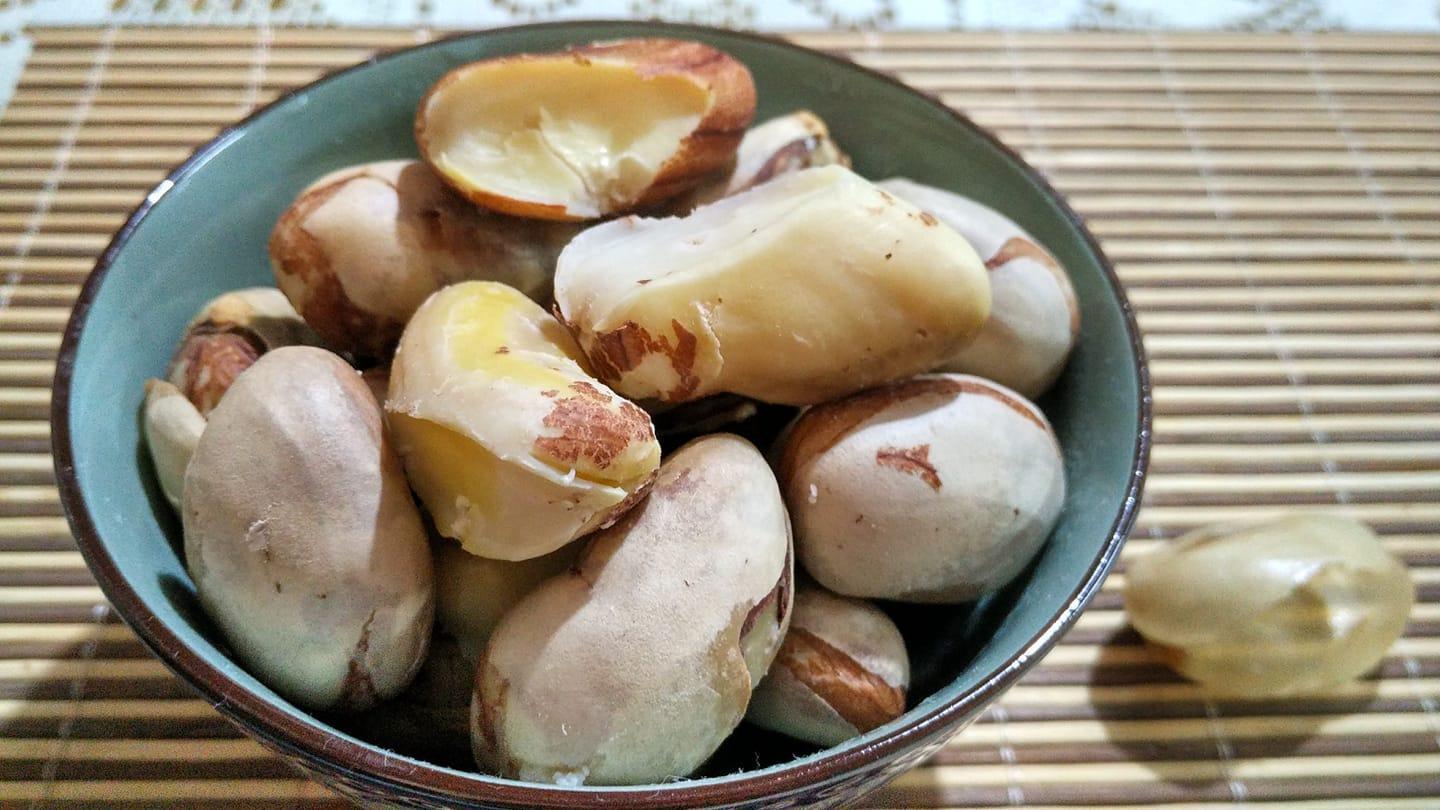 How to preserve jackfruit seeds? 1