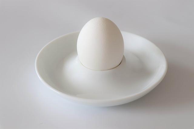 egg-4061303_640