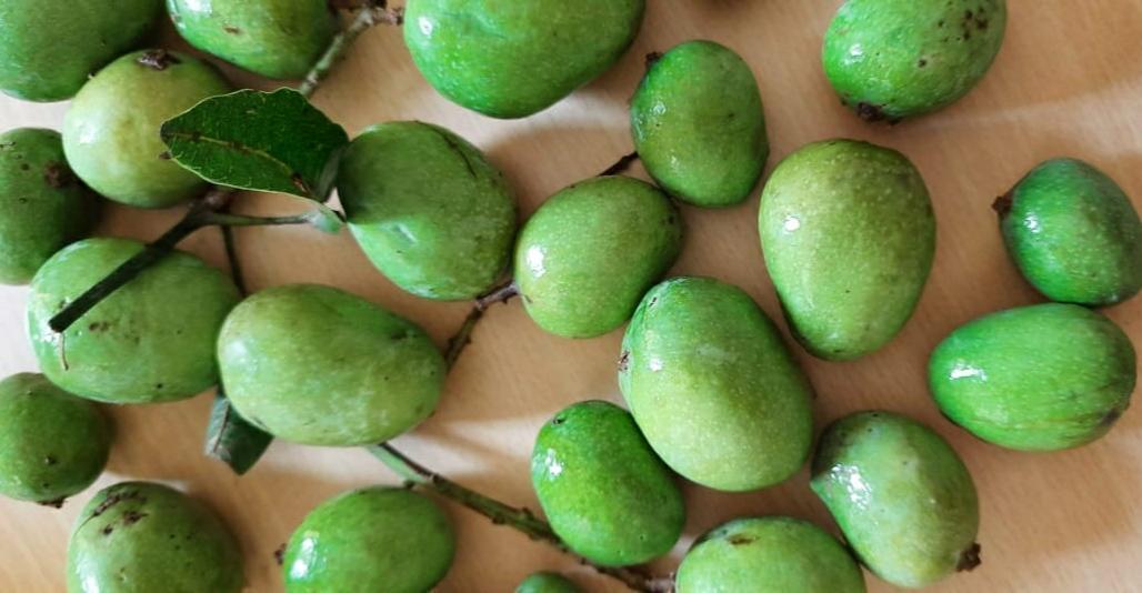 10 Healthy and tasty recipes using mango peels