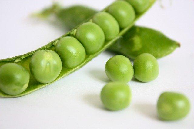 Indian diet for dialysis patients - peas are safe