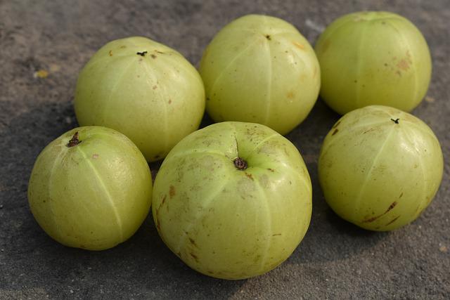 Amla the best source of vitamin C for TB patients
