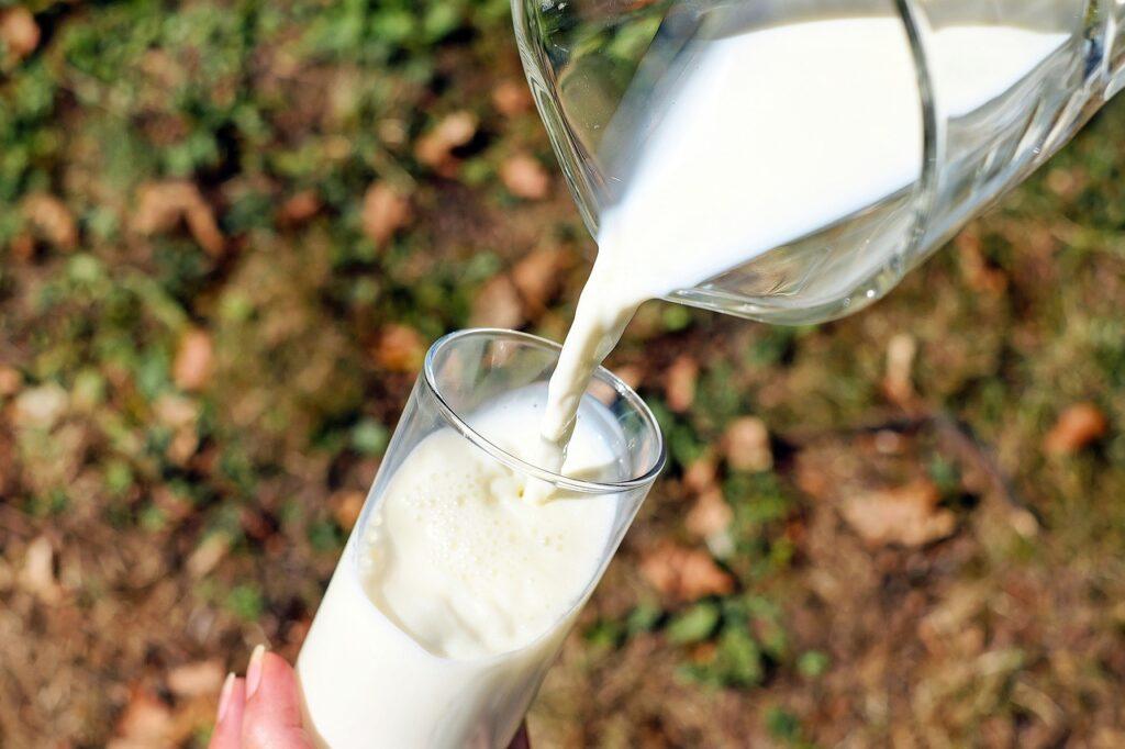 Top Calcium rich Indian foods – Dairy & Non-Vegetarian Options
